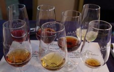 Class: Madeira 101