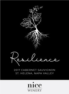 Nice Winery Resilience